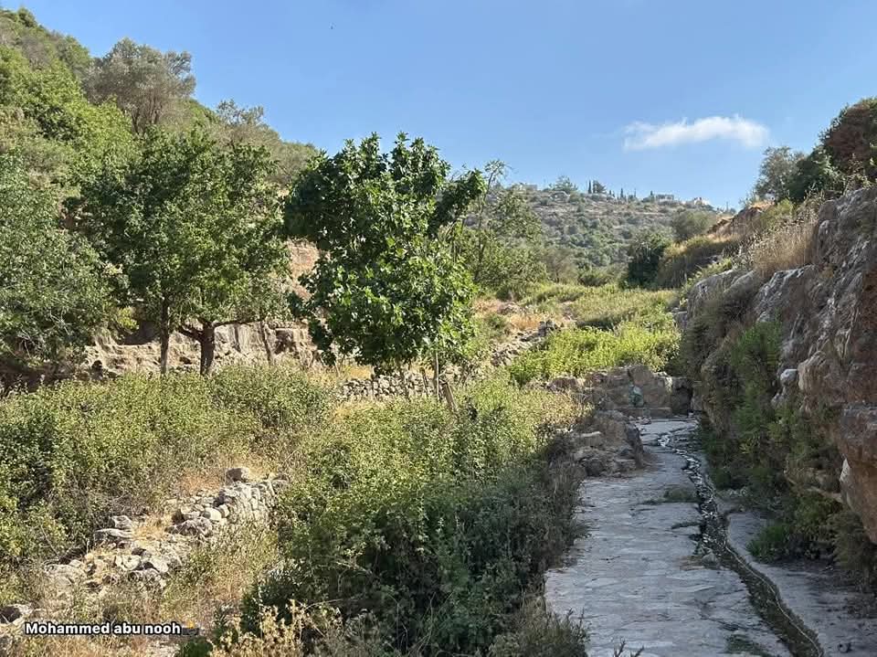 رام الله | موسوعة القرى الفلسطينية